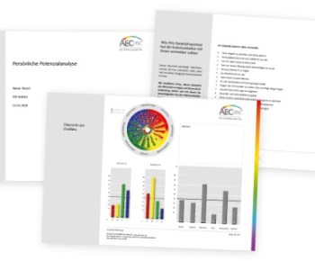 AECdisc – Die Potenzialanalyse